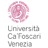 Ca' Foscari University of Venice  logosu
