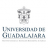 Universidad de Guadalajara (UDG) logosu